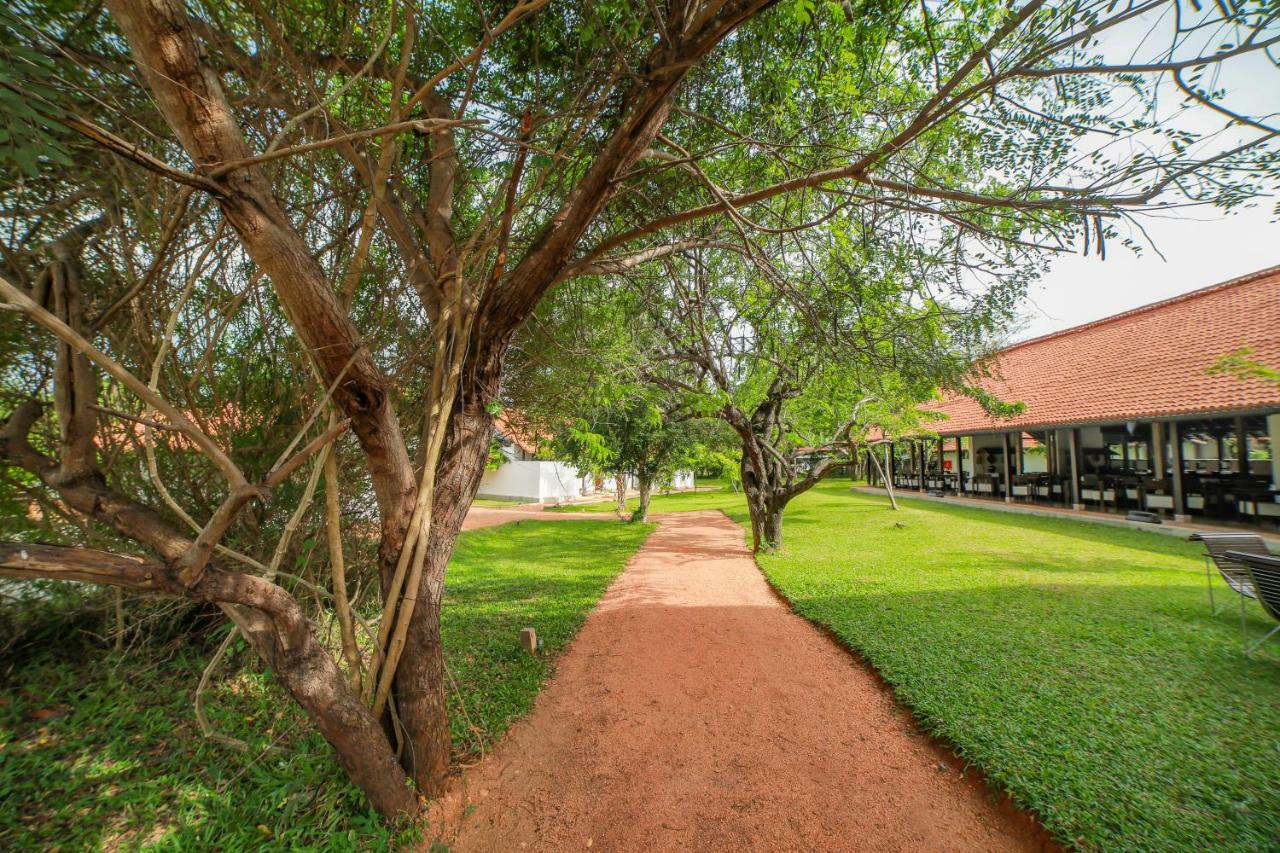 Sigiriyajungles Resort & Spa Exterior foto