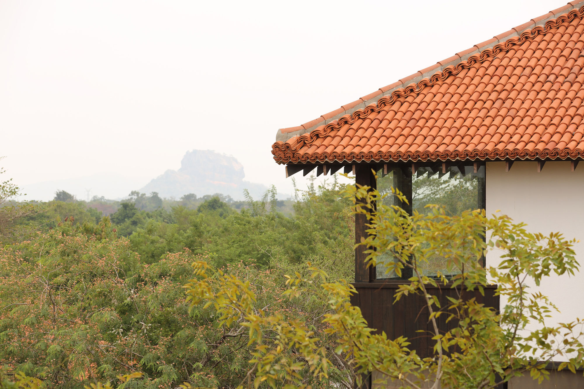 Sigiriyajungles Resort & Spa Exterior foto